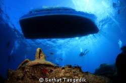 * by Serhat Tasgedik 